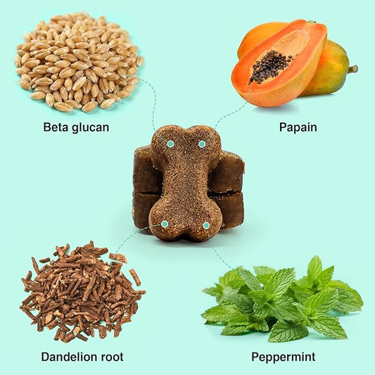 Dog Probiotics and Multivitamin Chews for Gut, Skin and Coat Health, Immune Support Supplement for All Dogs, Pork Flavor Soft Chews, 120 Count, Idea