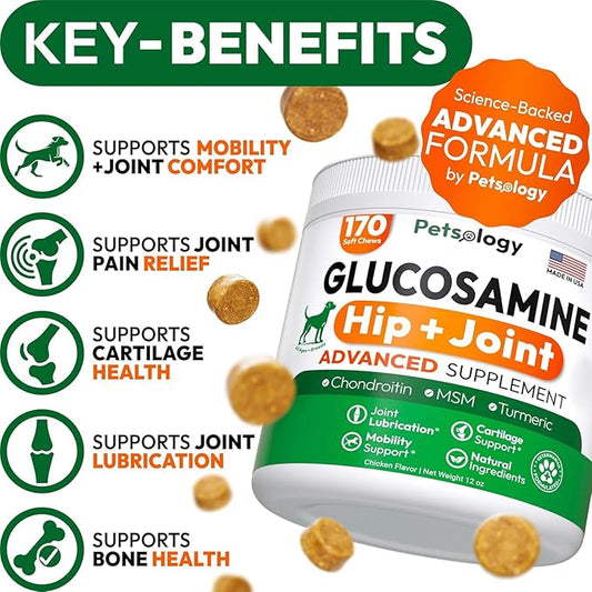 (2 Pack) Glucosamine for Dogs - 340 Mobility Chews - Advanced Hip and Joint Supplement for Dogs - Glucosamine Chondroitin - MSM - Joint Pain Relief