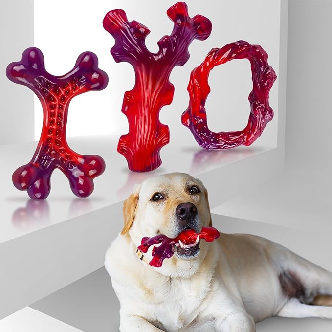Frienhund 3 Pack Indestructible Dog Chew Bones for Aggressive Chewers - Heavy Duty Long Lasting Chew Toys for Large Dogs, Nylon Teeth Cleaning Toys