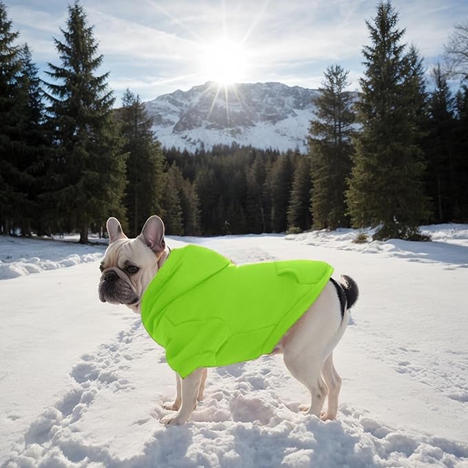 Small Dog Hoodie with Leash Hole and Pocket, Soft Winter Dog Sweater, Cozy Hoodies Sweatshirt for Small Dogs Puppy and Cat, Cold Weather Pet Clothes (Green Dog Hoodie, Medium)