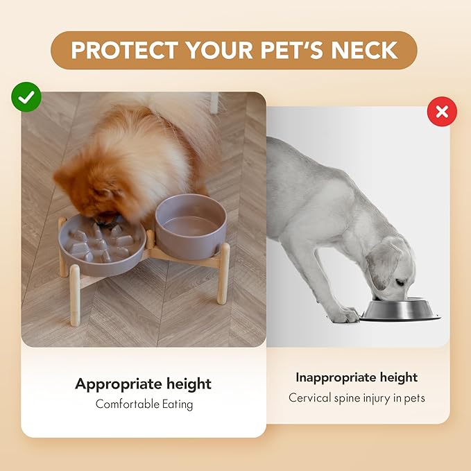 Havniva Ceramic 1.2 Cup Raised Slow Feeder Dog Bowl Set, Elevated 6.1inch Bowl and 7.3inch Slow Pet Food Dish with Wooden Stand for Small and Medium Dog (2 x Brown Coffee+ Stand)