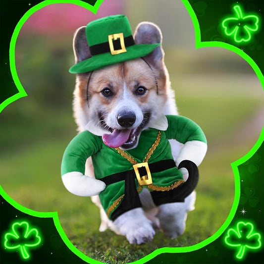 Hollowfly St. Patrick's Day Dog Costume Walking Leprechaun Dog Outfit with Arms Irish Day Holiday Pet Clothes Cosplay Accessories for Cat Doggy Pet(S)