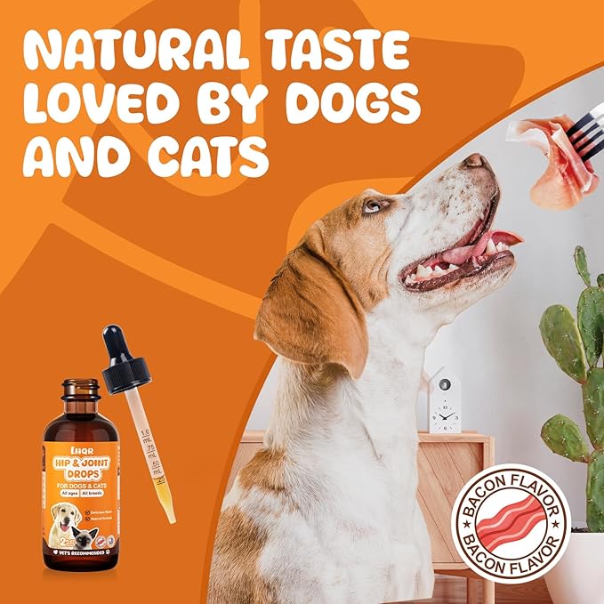 Liquid Glucosamine for Dogs, Chondroitin MSM Dog Drops for Hip & Joint Pain Relief, Joint Supplement Drops for Cats Mobility Support, Hip and Joint Liquid for Pets All Breeds Small Medium Large 60ml