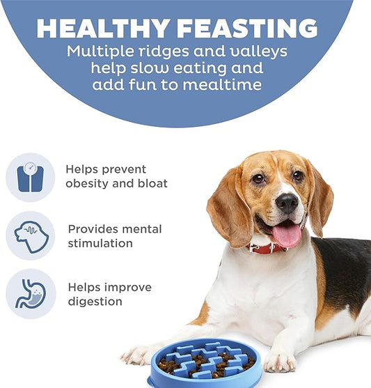 Outward Hound Medium Slow Feeder Bowl, Puzzle Maze for Fast Eaters, Small to Medium Dogs, Helps Prevent Bloat & Aid Digestion, Holds 2 Cups Wet or Dry Food, Non-Slip, Made Without BPA, Blue