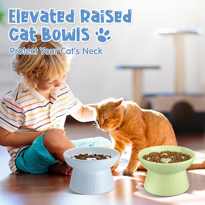 Tioncy 2 Pcs Raised Cat Slow Feeder Bowl Ceramic Elevated Cat Dog Food Bowl No Spill High Edge for Dry Wet Food and Water Easy to Clean, Dishwasher Safe(Green, Blue)