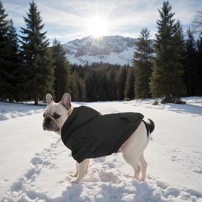 Small Dog Hoodie with Leash Hole and Pocket, Soft Winter Dog Sweater, Cozy Hoodies Sweatshirt for Small Dogs Puppy and Cat, Cold Weather Pet Clothes (Black Dog Hoodie, Medium)