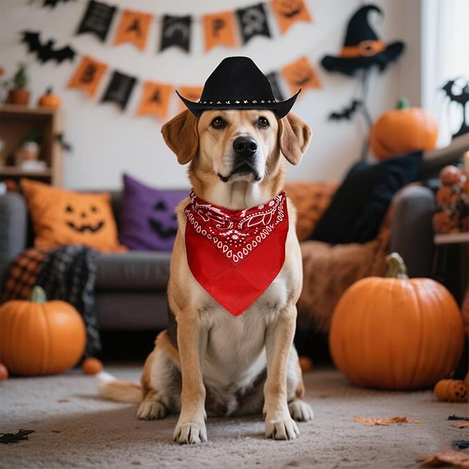 choyaxo Halloween Costumes for Dogs Cat Pet Cowboy Costume Cowboy Hat with Bandana Set for Halloween, Christmas, Holiday, Party, Cosplay (Black, Large)