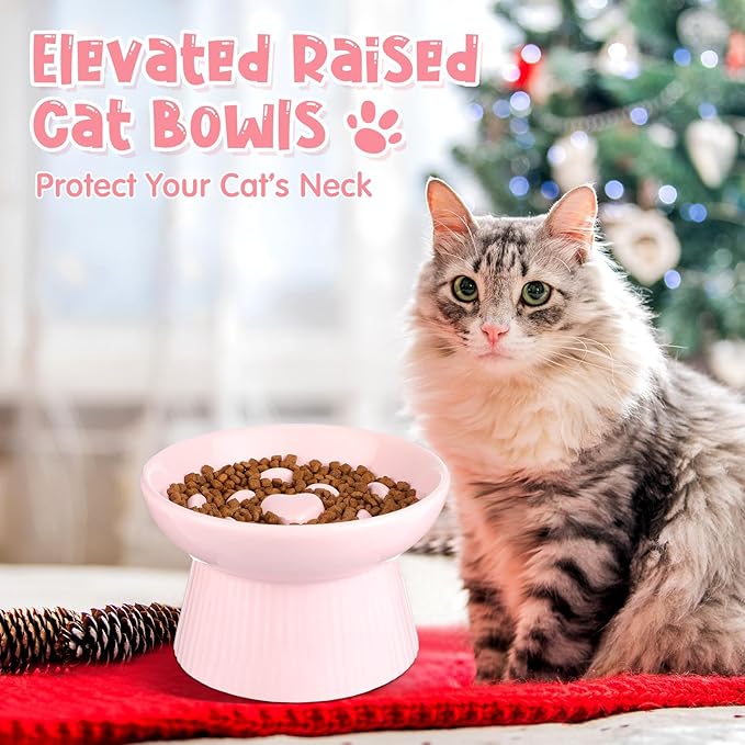 Tioncy 2 Pcs Raised Cat Slow Feeder Bowl Ceramic Elevated Cat Dog Food Bowl No Spill High Edge for Dry Wet Food and Water Easy to Clean, Dishwasher Safe(Black, Pink)