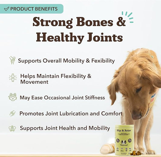 Natural Dog Company Hip & Joint Chews for Dogs with Glucosamine for Dogs + Chondroitin, MSM & Turmeric, Supports Mobility & Reduces Discomfort, Stiffness, Natural Pain Relief Joint Supplement. 180 Ct