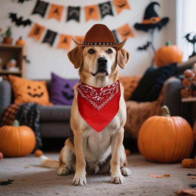 choyaxo Halloween Costumes for Dogs Cat Pet Cowboy Costume Cowboy Hat with Bandana Set for Halloween, Christmas, Holiday, Party, Cosplay (Brown, Large)