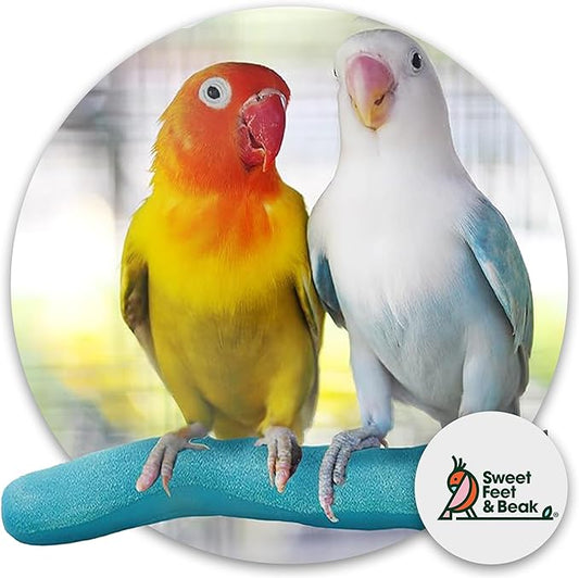 Sweet Feet & Beak Safety Pumice Bird Perch, Medium 1-1/4" X 12", Green - Lightweight Grinding Bird Perches for Cage - Bird Nail Trimming Perch for Healthy Beak & Feet - Multi-Size & Color Parrot Stand