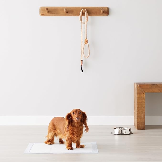 Amazon Basics Basic Disposable Dog Training Pads, Regular,30 Pack