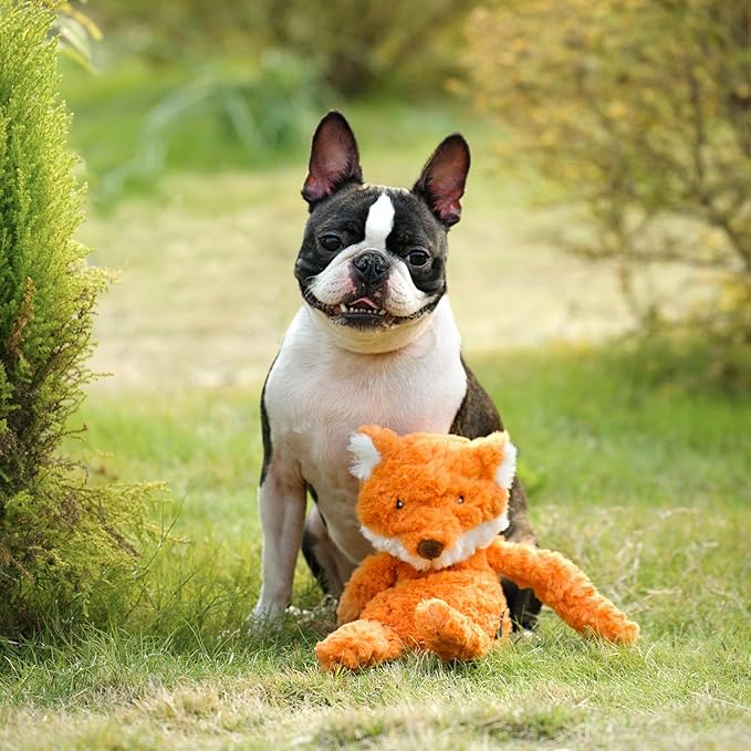 CHEWFFON Stuffless Dog Toy, Interactive Dog Toys, Plush Puppy Squeaky Toy with Fox Design, Puppy Puzzle Toys Stress Release Game for Boredom, Crinkle Snuffle Puzzle for Small Medium and Large Dogs