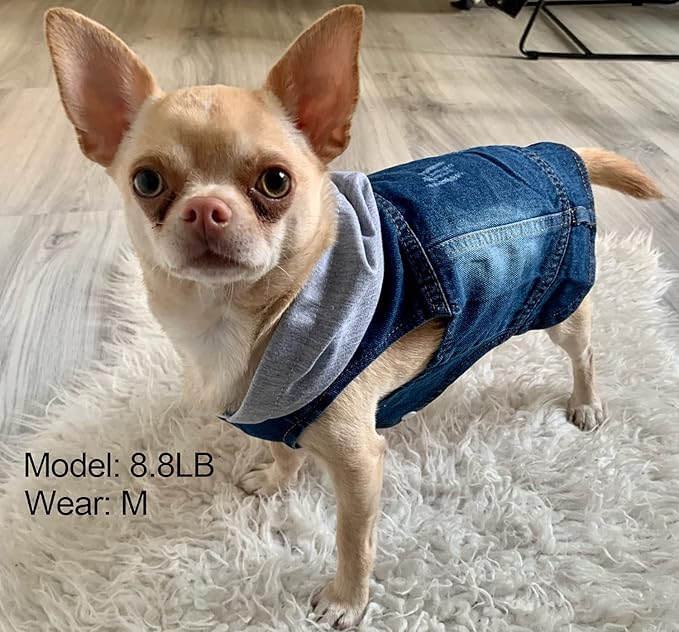 Pet Clothes Dog Jeans Jacket Cool Blue Denim Hoodie Coat, Puppy Clothing Shirt Costume, Doggy Vintage Lapel Vest, Dog Classic T-Shirt Apparel for Small Medium Dogs Cats (Blue, XX-Large)