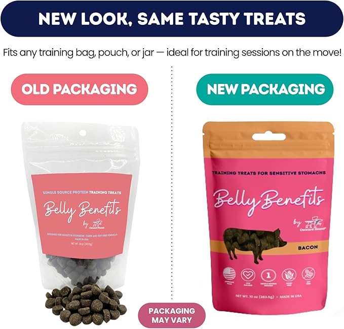 Onward Hound Training Treats for Dogs - Soft Salmon - Low Calorie Dog Training Treats for Sensitive Stomachs with Single Source Premium Protein, Corn Free, & Soy Free Formula - 10 oz