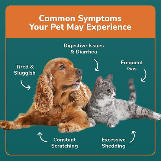 Dog Allergy +1000 Food & Nutritional Sensitivity Test, Pet Intolerance Kit at Home — Advanced Complement to DNA Tests for Complete Pet Wellness