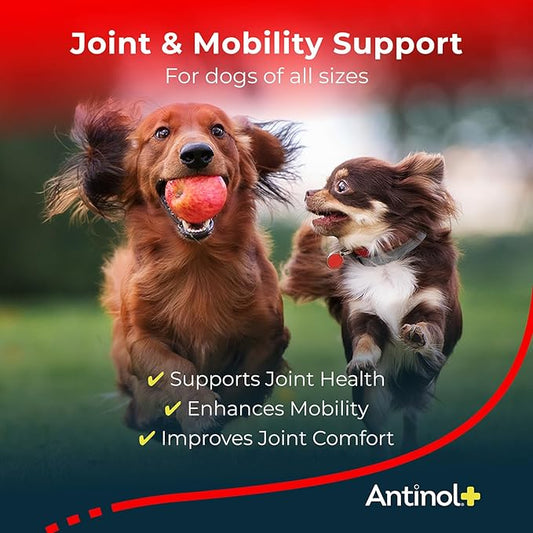 Antinol Plus, Mobility, Hip, and Joint Supplement for Dogs, Green-Lipped Mussels and Krill Oil - Dog Joint Supplement, Better and Faster Than Glucosamine and Chondroitin, 90 Soft Gels
