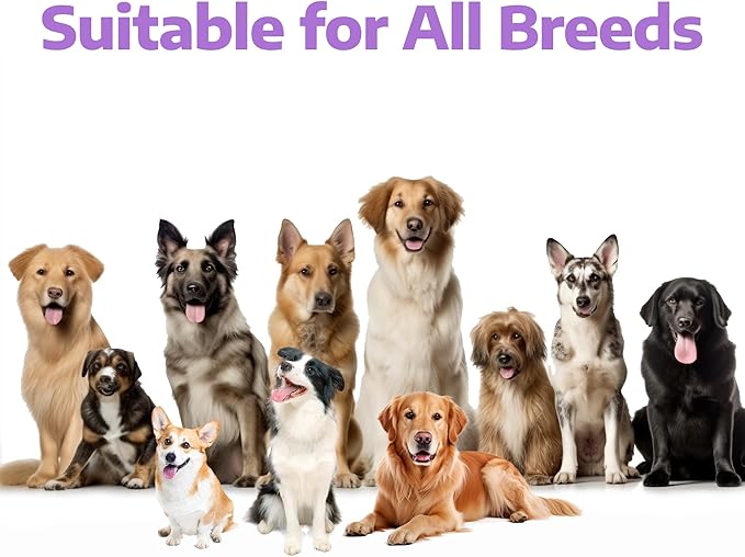 Fish Oil for Dogs, Vet-Formulated, US-Formulas Oral Natural Omega 3 & 6 Treatment Supplements – EPA & DHA Fatty Acids for Itchy Skin, Shedding & Allergy Relief – 180 Chicken Soft Chews