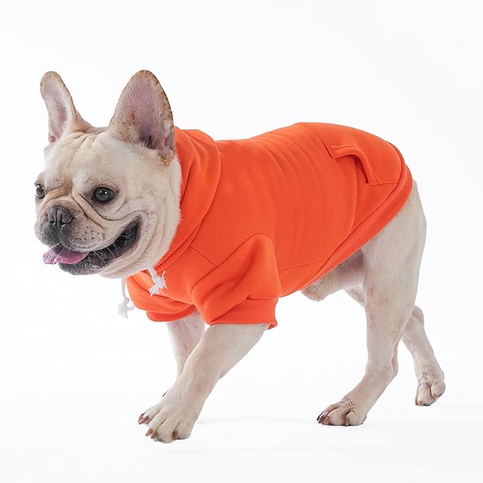 KOOLTAIL Fall Dog Hoodie - Soft & Warm Dog Thanksgiving Sweater with Leash Hole and Pocket, Pet Winter Coat, Cold Weather Clothes Sweatshirt for Small Medium Large Dogs Puppy Cat Boys Girls, Orange S