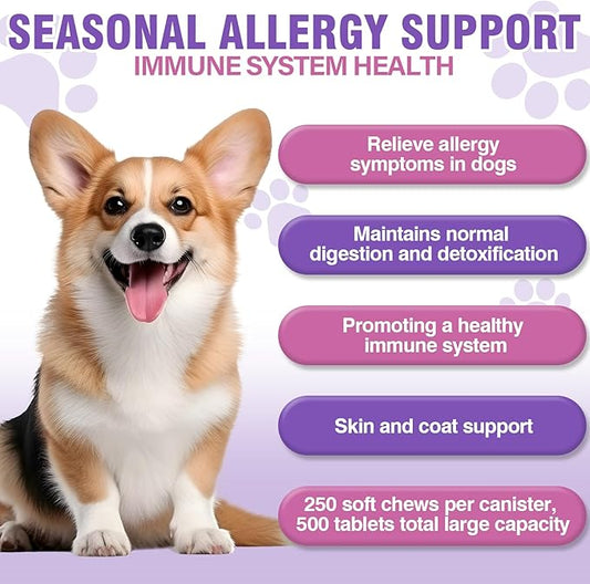 Dog Allergy Chews 500PCs,Dog Allergy and Itching Skin Relief Anti Itch Aller Immune Bites for Dogs Itching Licking Paws Treatment Relief Itchy Aller Probiotics Vitamins for Skin and Coat Allergies