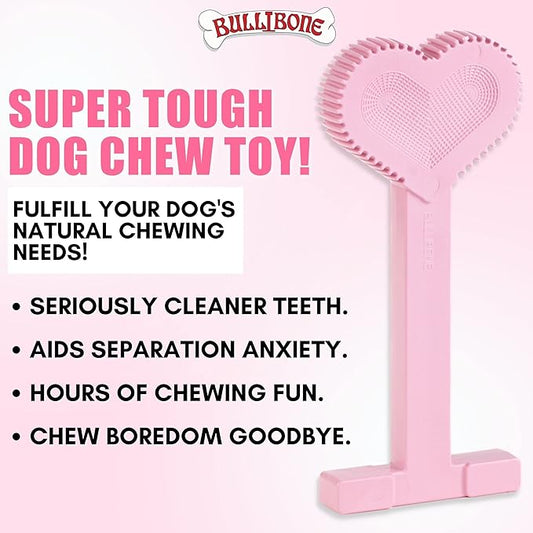 Bullibone Nylon Dog Chew Toy Nylon Bone - Improves Dental Hygiene, Easy to Grip Bottom, and Permeated with Flavor (Peppermint, Large - Single)