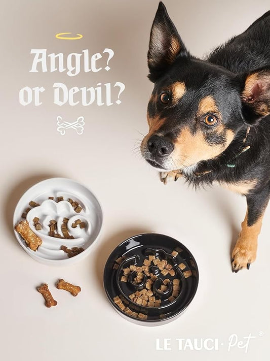 LE TAUCI Ceramic Slow Feeder Dog Bowls Small Breed, 0.6 Cups Elevated Dog Bowl for Fast Eaters, Puzzle Bowl for Small Dogs and Cats,Angle White