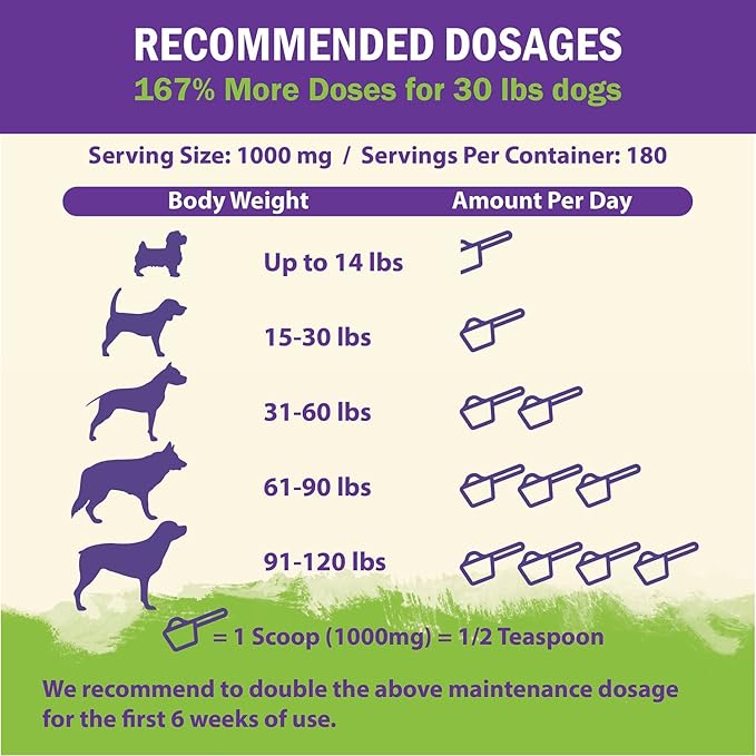 ZENAPET Dog Immune Support Premium Powder Topper, Turkey Tail, Spirulina & Beta-Glucan, Supports a Healthy Immune System & Digestion, Human-Grade, Made in USA
