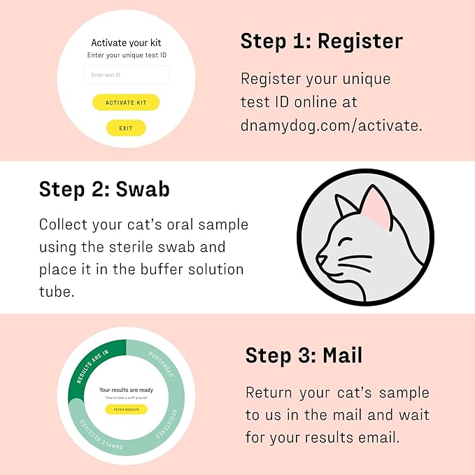 DNA MY DOG β Cat Allergy Test | Vet Recommended Test for Itchy, Sensitive Cats | Easy-to-Use Kit | Non-Invasive Cheek Swab not a Fur Test | Scientifically Valid | Includes Personalized Allergy Report