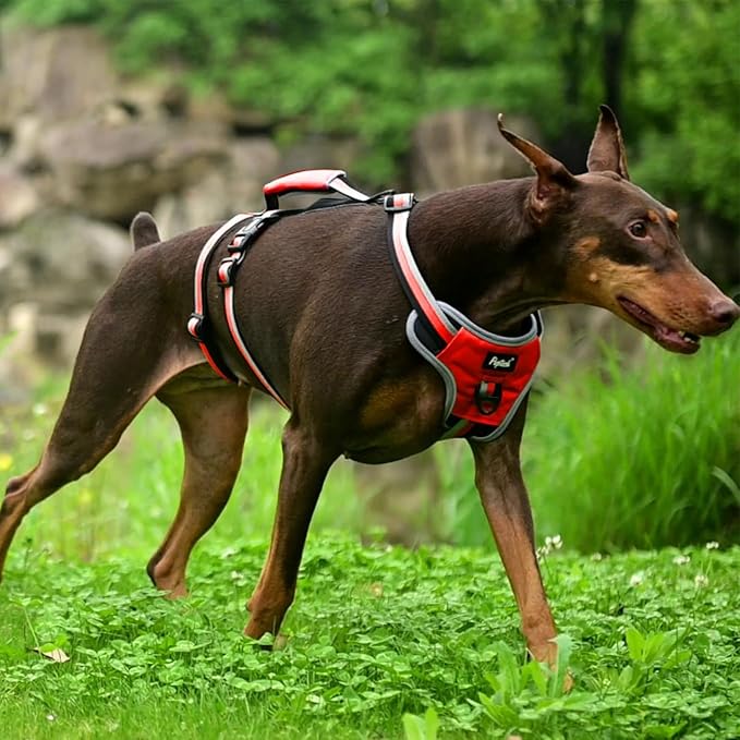 PUPTECK Escape Proof Dog Harness with Padded Handle, No Pull Pet Vest Harness Durable Reflective for Medium Large Dogs Walking Training and Running, Red, L