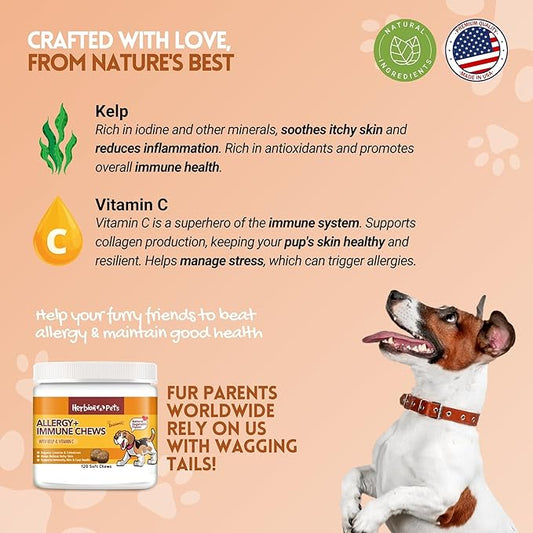 Herbion Pets Allergy + Immune Chews with Kelp & Vitamin C, 120 Soft Chews, Supports Immunity, Skin & Coat Health, Relieves Itchy Skin, Made in USA, Natural Vegetable Flavor, for Dogs 12 Weeks+, Pack 1