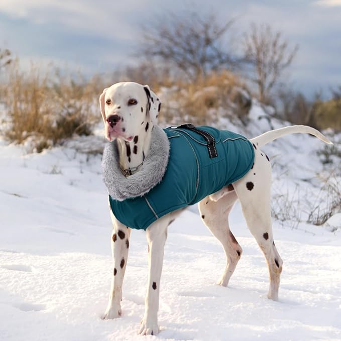 Lelepet Warm Dog Coats for Large Dogs Waterproof Dog Winter Jacket Reflective Pet Fleece Vest Windproof Cold Weather Coats with Adjustable Buckle & Leash Hole, Dark Green, XL