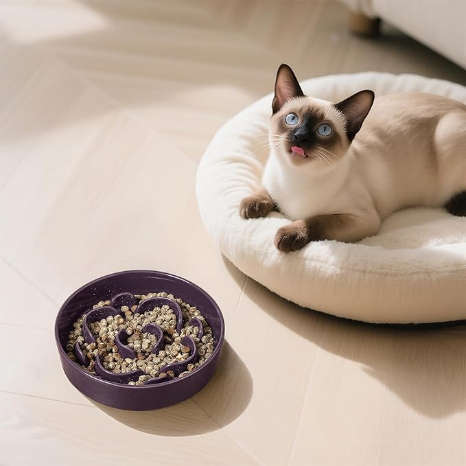 Ceramic Dog Slow Feeder Bowl - Small Dog Food Dish with Maze Puzzle Design - Slow Eating Puzzle Feeder for Pet Feed & Food Control - Whisker-Friendly Bowl for Cat Feeding - 6.3 Inch - 180 g - Purple