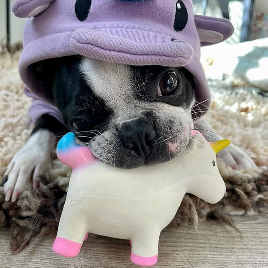 rocket & rex Dog Chew Toy Set for Small to Medium Breeds, Includes a Stuffing Free Rope, Rubber Squeaker and Plush Toy, Reduces Destructive Chewing & Anxiety (Pack of 3)