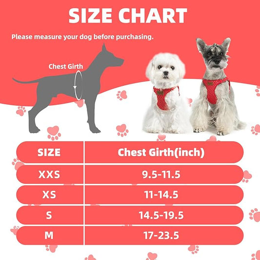 PUPTECK Dog Harness and Leash Set Small Sized, Step-in Cute Puppy Harness, Soft Lightweight Padded Vest, Escape Proof No Pull Pet Harnesses Easy for Walking, Red, XXS