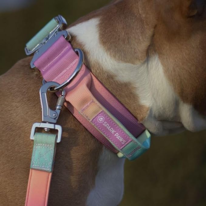 Tactical Dog Collar with Handle - Premium Quality Collar, Robust and Durable Design for Large, Strong Breeds - Pitbulls, Labradors, GSD - Pastel Icing - L - 1.5"