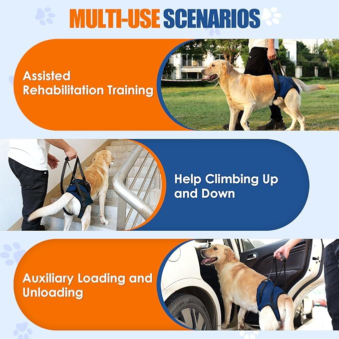 SlowTon Dog Lift Harness - Adjustable Dog Sling for Medium Large Dogs, Hind Leg Support to Help Rehabilitate, Soft Padded Dog Support Harness for Elderly, Injured, Arthritic, Disabled Dogs(BL,S)