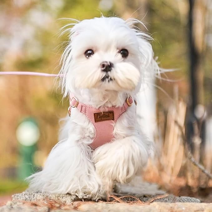 PUPTECK Dog Harness and Leash Set Small Sized, Step-in Cute Puppy Harness, Soft Lightweight Padded Vest, Escape Proof No Pull Pet Harnesses Easy for Walking, Pink, S