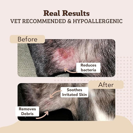 Natural Dog Company Skin Soother Bundle, (1) Dog Skin Wipes, 50 Count, (1) Travel Stick, 0.15 oz., Allergy and Itch Relief for Dogs, Dog Moisturizer for Dry Skin, Dog Lotion