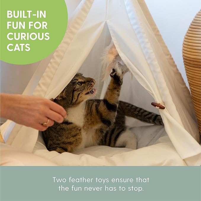 The Cat Ladies Cat Teepee - White Small Dog Tent Bed with a Soft Inner Cushion - Indoor Pet Teepee with Wooden Poles for Cats Dogs Rabbit and Bunny - with Feather Toys