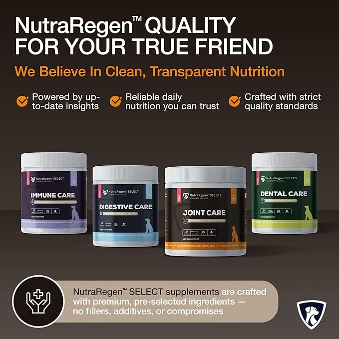 Select Senior Dog Joint Supplement 45 Servings | Natural Glucosamine Chondroitin for Dogs with Collagen | Hip and Joint Powder | 7.7 Oz