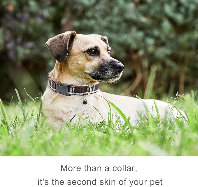 Dog Bowtie Collars, Cute Soft Velvet Dog Collar with Bow Tie, Safety Metal Buckle, Adjustable Collars for Boy and Girl Dogs Pets.