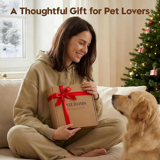 Dog Treat Pouch – Large Capacity with Magnetic Closure, Dog Walking Fanny Pack Built-in Poop Bag Dispenser, Clicker & Collapsible Bowl for Training & Walking - Black