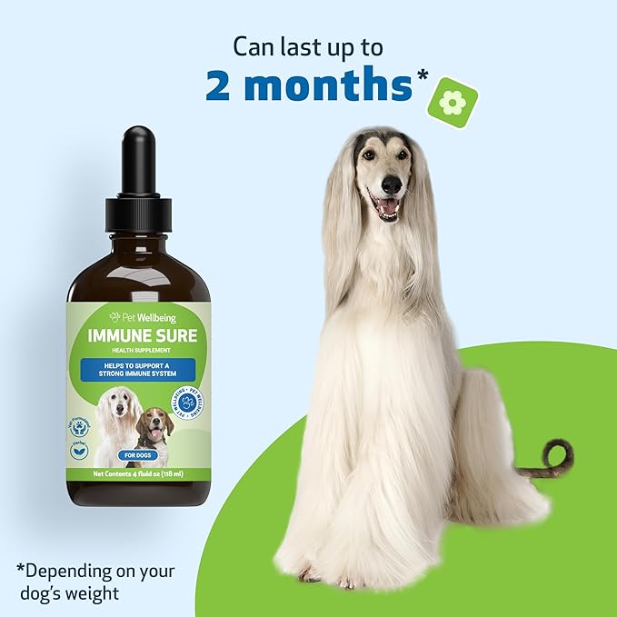 Pet Wellbeing Immune Sure for Dogs - Supports Normal Immune Defenses, Gut Flora Balance, Andrographis, Echinacea, Vitamin C, Zinc - Veterinarian-Formulated Herbal Supplement 4 oz (118 ml)