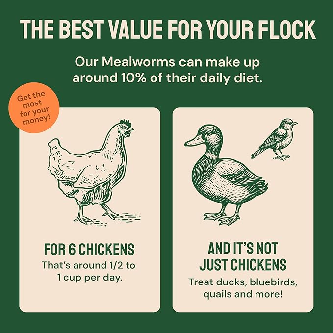 Hatortempt Dried Mealworms - High Protein Chicken Feed Supplement - Mealworms for Wild Birds & Chickens & Turtles (2lb Bag)