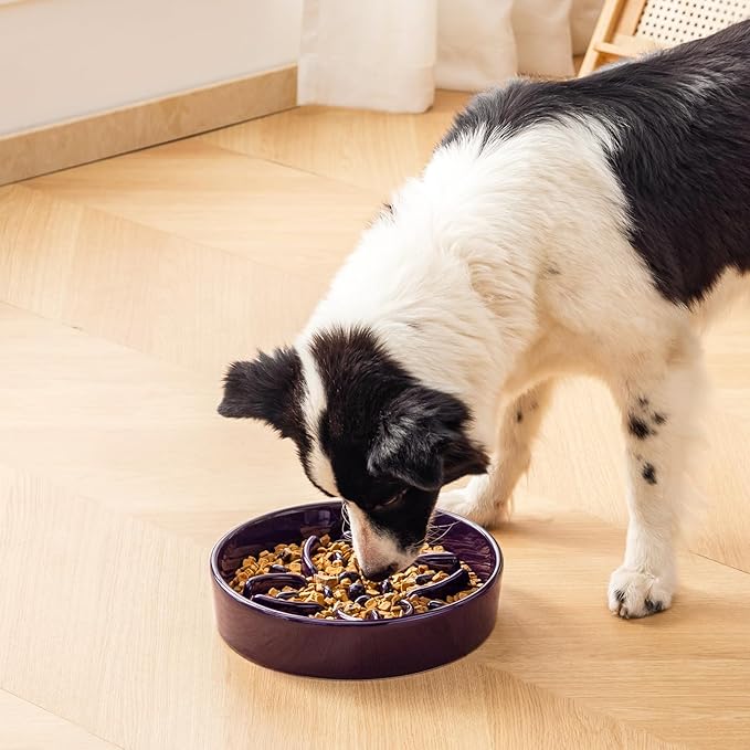 vancasso Ceramic Slow Feeder Dog Bowls, Puzzle Dog Food Bowls with Floral Maze, Anti -Slip Pet Food Dish for Large Breed, 3 Cups, Purple