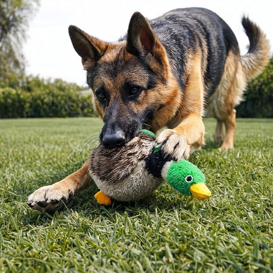 Jalousie 5 Pack Dog Squeaky Toys Three no Stuffing Toy and Two Plush with Stuffing for Small Medium Large Dog Pets (5 Pack)