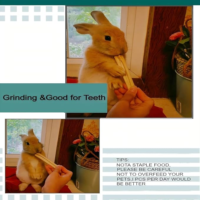 William Craft 500g Snacks Sweet Bamboo Chew Toy for Rabbits Chew Sticks for Hamster Chinchilla Guinea Pig,Molar Treats Snack for Small Animals