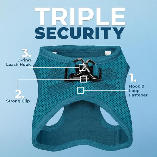 Voyager Step-in Air All Weather Mesh Harness and Reflective Dog 5 ft Leash Combo with Neoprene Handle, for Small, Medium and Large Breed Puppies by Best Pet Supplies - Set (Turquoise), XS