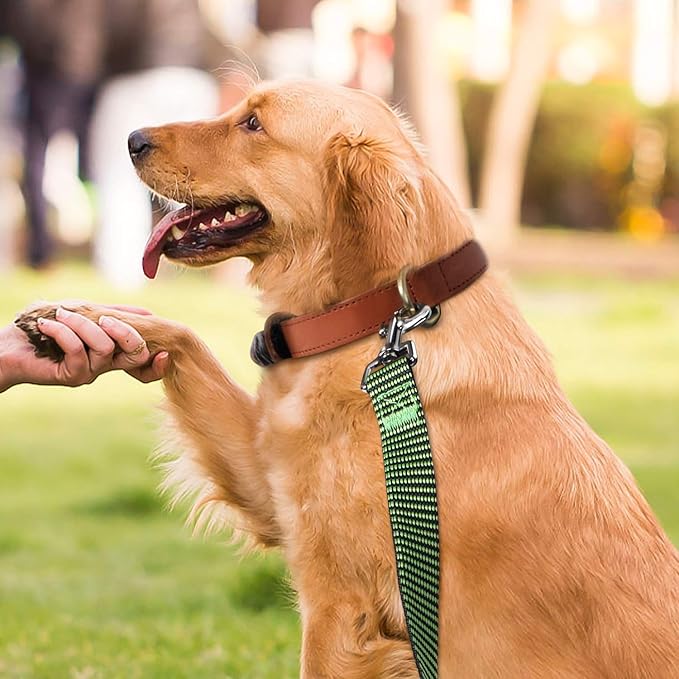 Hi Kiss Dog/Puppy Obedience Recall Training Agility Lead - 15ft 20ft 30ft 50ft 100ft Training Leash - Great for Training, Play, Camping, or Backyard(100ft,Black_Green)