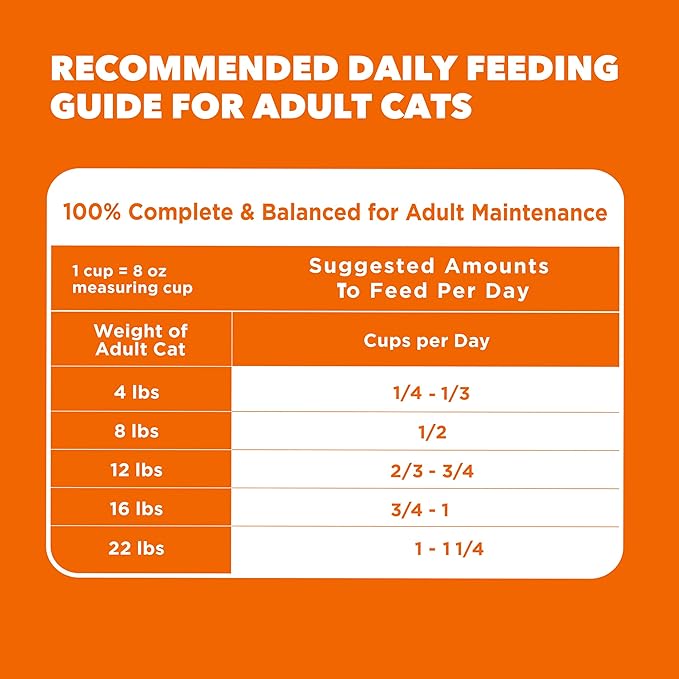 IAMS Proactive Health Adult Healthy Dry Cat Food with Real Salmon, 3.5 lb. Bag